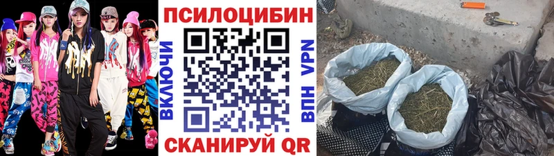 Псилоцибиновые грибы прущие грибы  Белореченск 